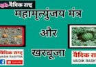 महामृत्युंजय मंत्र का संक्षिप्त अर्थ ।