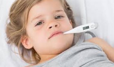 टाइफाइड -आयुर्वेदिक उपाय 