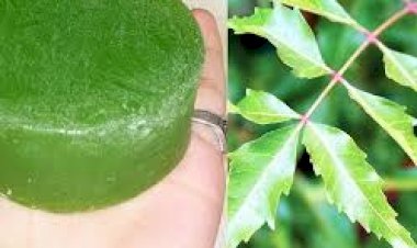 नहाने का हर्बल सोप (साबुन) बनाने की विधि 