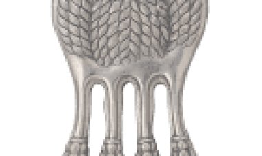 क्या आपको टीना डाबी याद है?